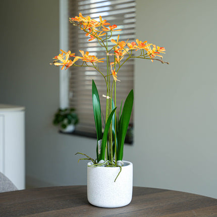 Renantera Orchid yellow/orange 2 pcs - Artificial Plants - Bundle set