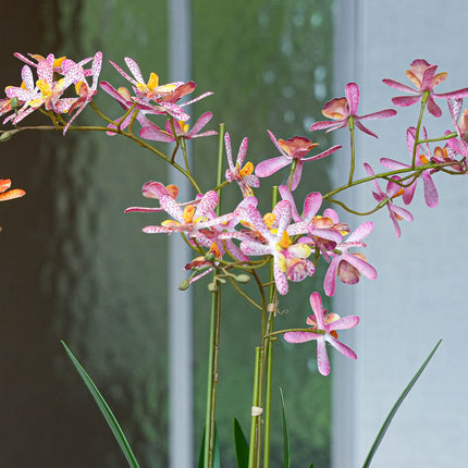 Renanthera Orchidee rosa 2 Stück - Kunstpflanzen - Bundle-Set