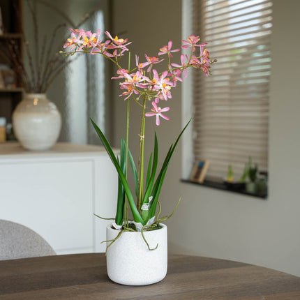 Renanthera Orchidee rosa 2 Stück - Kunstpflanzen - Bundle-Set
