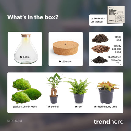 Sam XL Bonsai - Terrarium with light - Bottle garden DIY kit - Ø 30 cm ↑ 32 cm