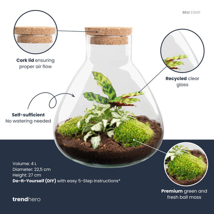 Sammie Calathea - Terrarium - Bottle garden DIY kit - Ø 22,5 cm ↑ 27 cm