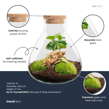Sammie Coffea Ruby Lime - Terrarium - Kit DIY jardin en bouteille - Ø 22,5 cm ↑ 27 cm