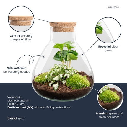 Sammie Coffea Arabica + White Tiger  - Flaschengarten - DIY Terrarium mit Pflanzen im Glas - Ø 22,5 cm ↑ 27 cm