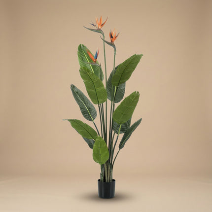 Strelitzia with Flowers – 120 cm – In Black Pot – Artificial Plant