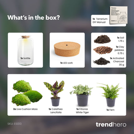 Sven XL Botanical - Terrarium with light - Bottle garden DIY kit - Ø 23 cm ↑ 43 cm