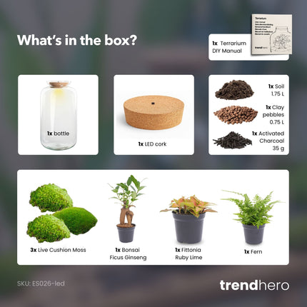 Kit DIY Terrarium • Bonsaï Sven + éclairage LED • Écosystème avec plantes • ↑ 43 cm