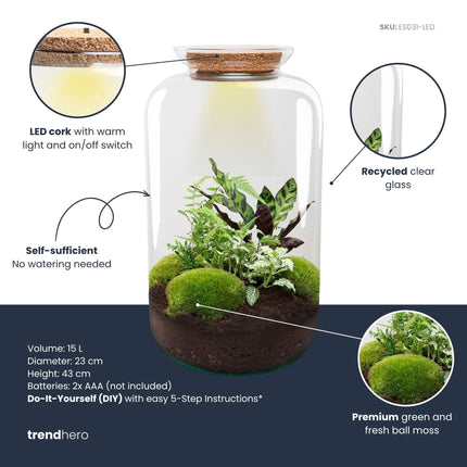 Sven XL Botanical - Terrarium with light - Bottle garden DIY kit - Ø 23 cm ↑ 43 cm