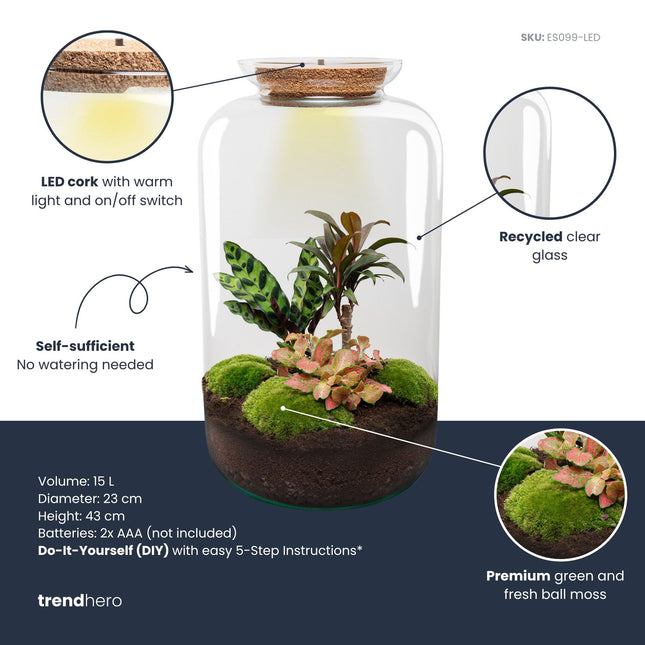 Sven XL Palm - Terrarium with light - Bottle garden DIY kit - Ø 23 cm ↑ 43 cm
