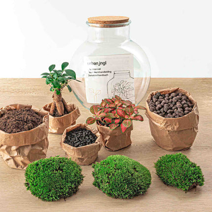 Teddy Bonsai Red - Terrarium with light - Bottle garden DIY kit - Ø 25 cm ↑ 26,5 cm