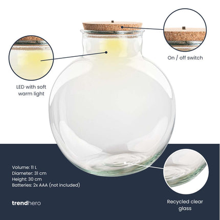 Bouteille terrarium 'Bolder Bob' - Bouchon (LED) inclus - Terrarium fermé Ø 30 cm ↑ 31 cm