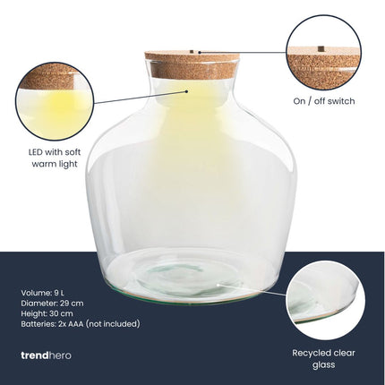Bouteille terrarium Fat Joe - Bouchon LED inclus - ↑ 30 cm Ø 29 cm