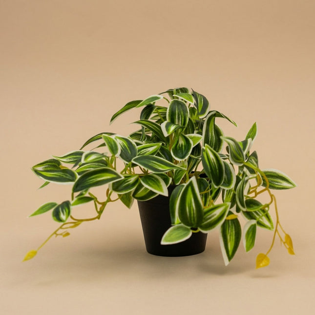 Tradescantia Groen/Wit in pot - 19 cm - Kunstplant