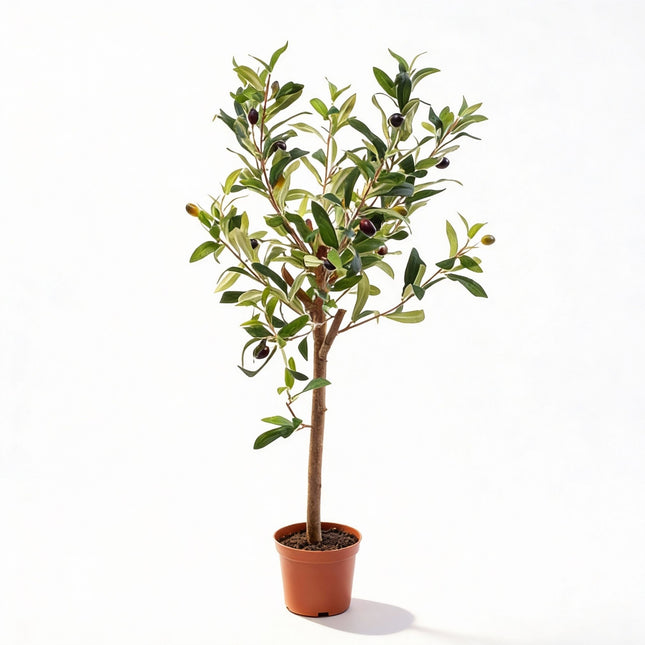 Olivier artificiel en pot 65 cm - Plante artificielle