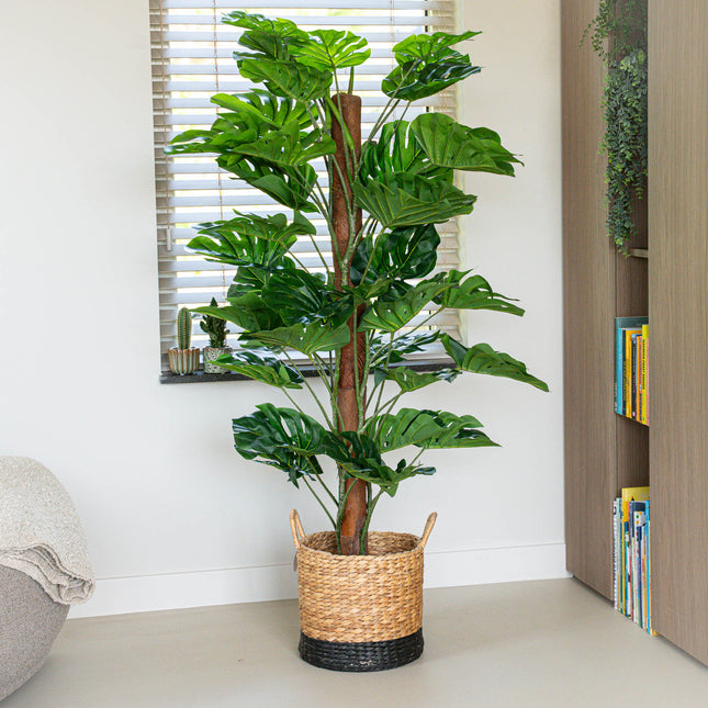 Monstera op stam 150 cm - Kunstplant