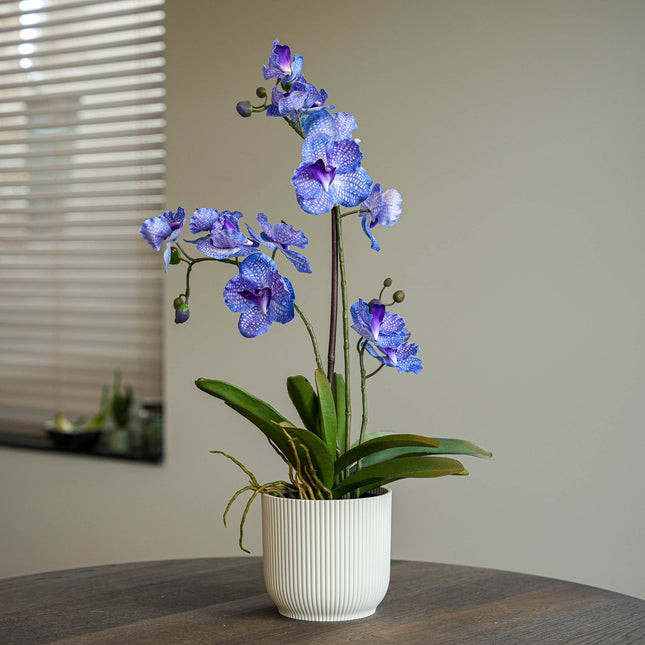 Orchidee Vanda kunstplant 60 cm - Paars - In pot