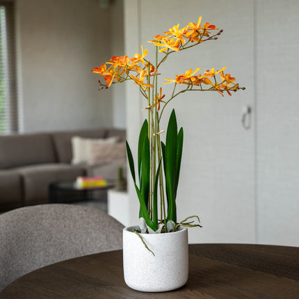 Renanthera Orchidee Gelb & Orange im Topf - 56 cm - Künstliche Pflanze