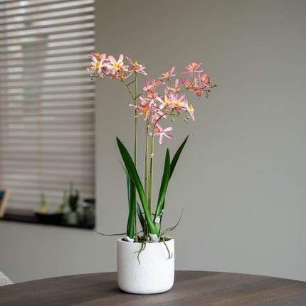 Renanthera Orchidee Rosa im Topf - 56 cm - Kunstpflanze