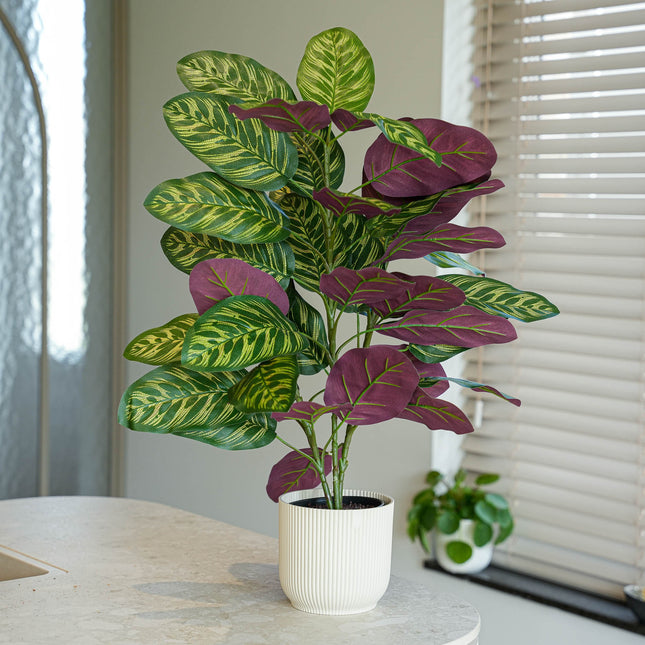 Calathea Bush in Pot - Kunstplant - 65 cm