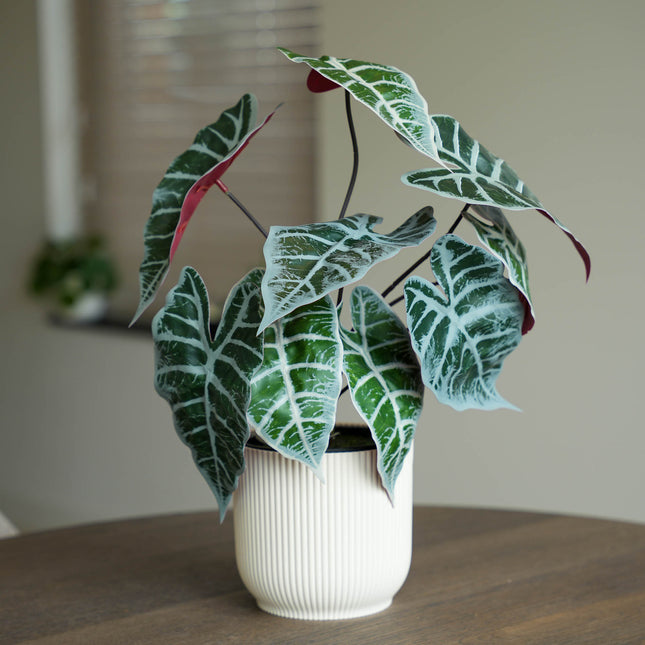 Buisson Alocasia en pot 40 cm - Plante artificielle