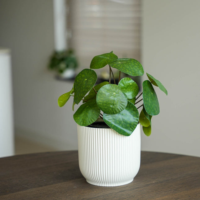 Pilea bush 25 cm in zwarte pot - Kunstplant