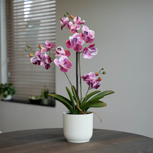 Orchidee Vanda kunstplant 60 cm - Oudroze - In pot