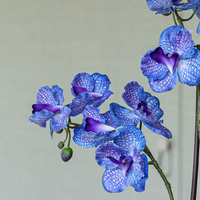Orchidee Vanda kunstplant 60 cm - Paars - In pot
