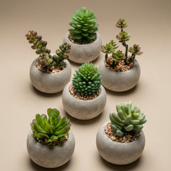 Artificial mini plants