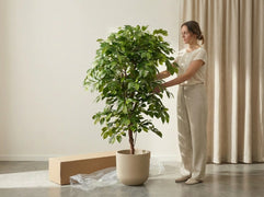 Step 2. Choose a decorative pot