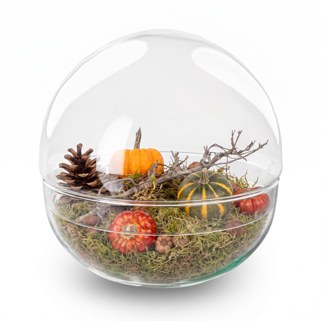 Autumn terrarium Dome XL Ø 28cm ↑ 28cm + Medium deco kit
