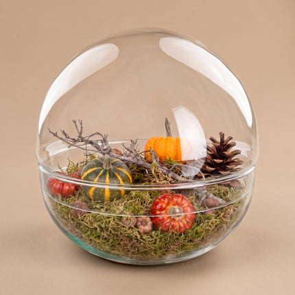 Terrarium automne Dome XL Ø 28 cm ↑ 28 cm + kit déco Medium