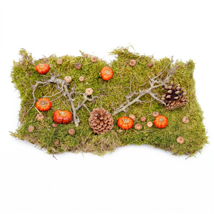 Kit deco automne - Citrouilles sechees, mousse, bois, pommes de pin