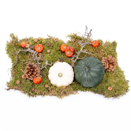 Herfst deco kit met 2 echte Pompoenen Ø 12 cm