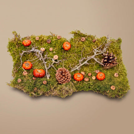 Kit deco automne - Citrouilles sechees, mousse, bois, pommes de pin