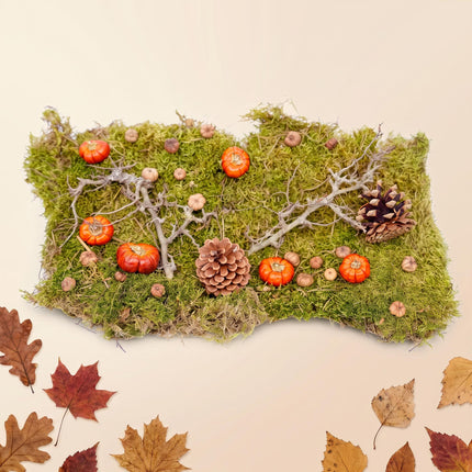 Kit deco automne - Citrouilles sechees, mousse, bois, pommes de pin