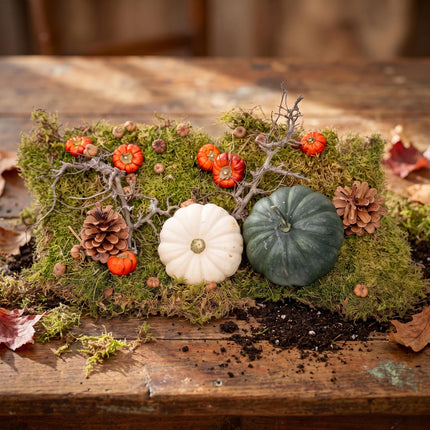 Herfst deco kit met 2 echte Pompoenen Ø 12 cm