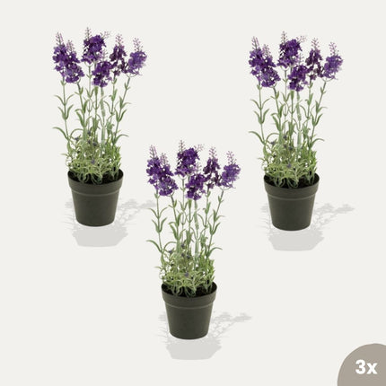 Lavendel 3 Stück - Kunstpflanzen - Bundle-Set   