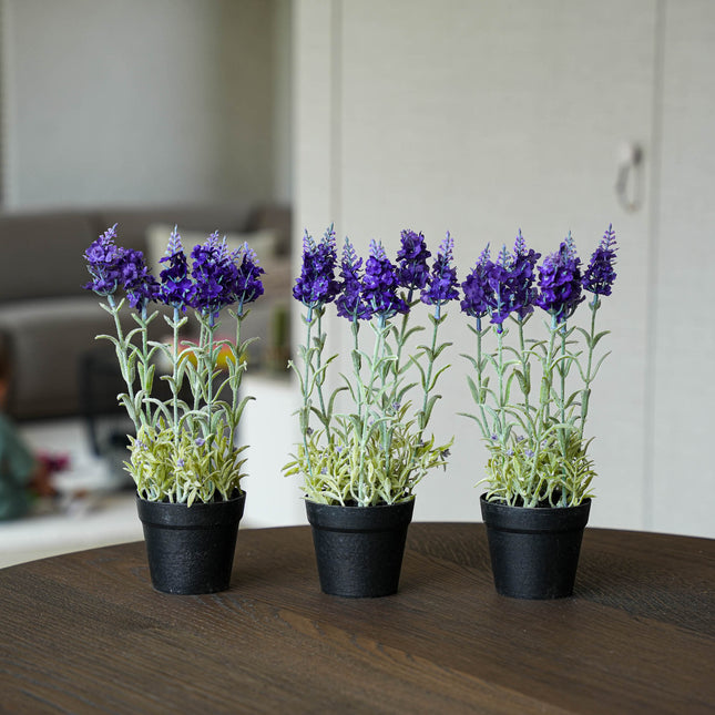 Lavender 3pcs - Artificial Plants - Bundle set