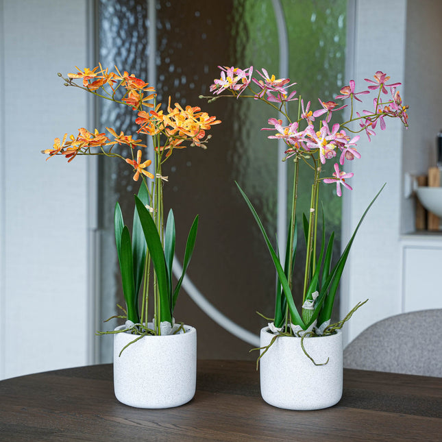 Renanthera orchid mix - 2pcs - Artificial Plants - Bundle set