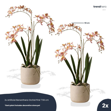 Renanthera Orchidee rosa 2 Stück - Kunstpflanzen - Bundle-Set