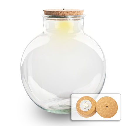 Bouteille terrarium 'Bolder Bob' - Bouchon (LED) inclus - Terrarium fermé Ø 30 cm ↑ 31 cm