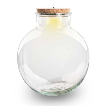 Bouteille terrarium 'Bolder Bob' - Bouchon (LED) inclus - Terrarium fermé Ø 30 cm ↑ 31 cm