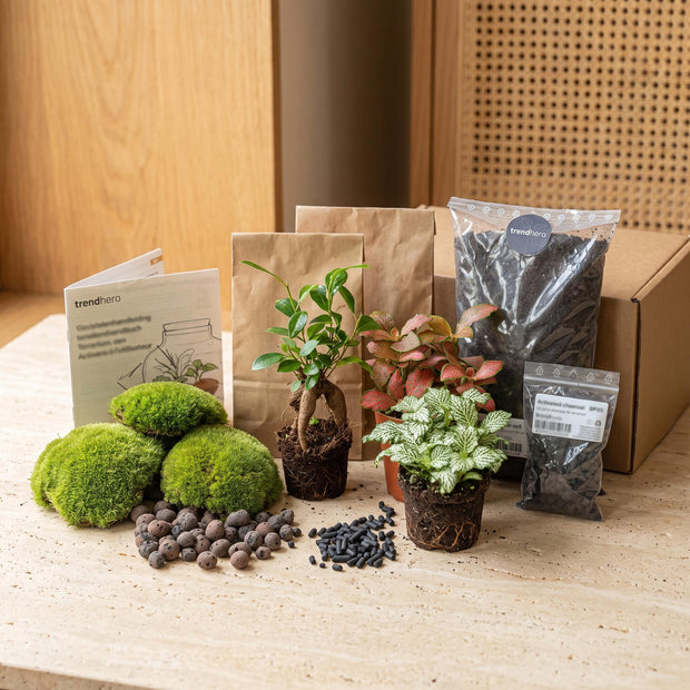 Bottle Garden refill