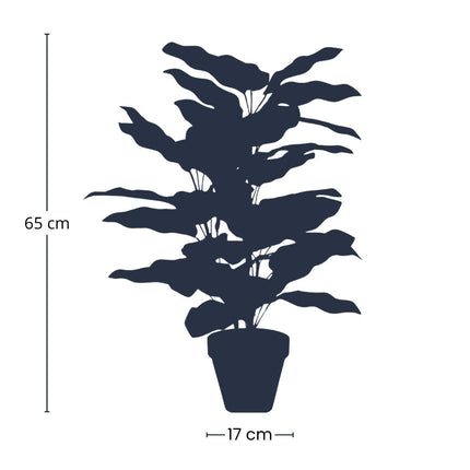 Calathea bush in pot - Artificial plant - 65 cm