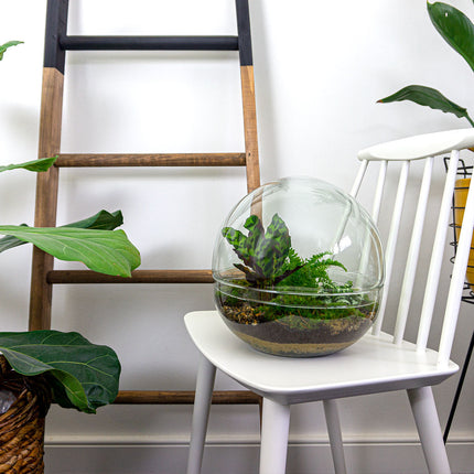 Dome XL - Zweiteiliges rundes Glas Flaschengarten - DIY Terrarium mit Pflanzen im Glas - Ø 28 cm ↑ 28 cm