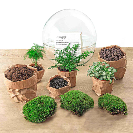 Dome XL - Zweiteiliges rundes Glas Flaschengarten - DIY Terrarium mit Pflanzen im Glas - Ø 28 cm ↑ 28 cm