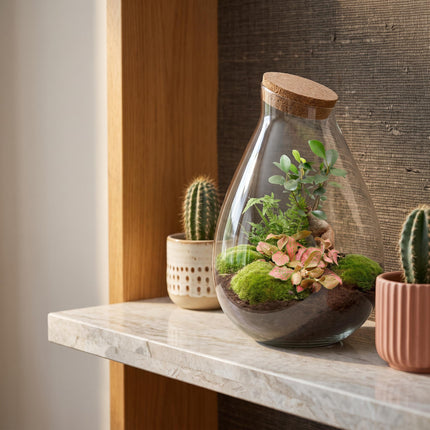 Drop XL Rood - Planten Terrarium met kurk - DIY kit - Ecosysteem plant - Ø 24 cm ↑ 37 cm
