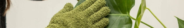 Dust gloves plant care