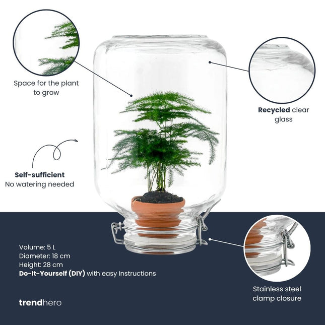 Easyplant Calathea - Fido terrarium jar - Bottle Garden DIY kit - Ø 18 cm ↑ 28 cm