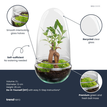 Egg Bonsai - Flaschengarten - Zweiteilige Glaskuppel - DIY Terrarium mit Pflanzen im Glas - Ø 12 cm ↑ 25 cm