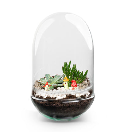 Egg XL succulente - Terrarium ouvert - Kit DIY ↑ 30 cm